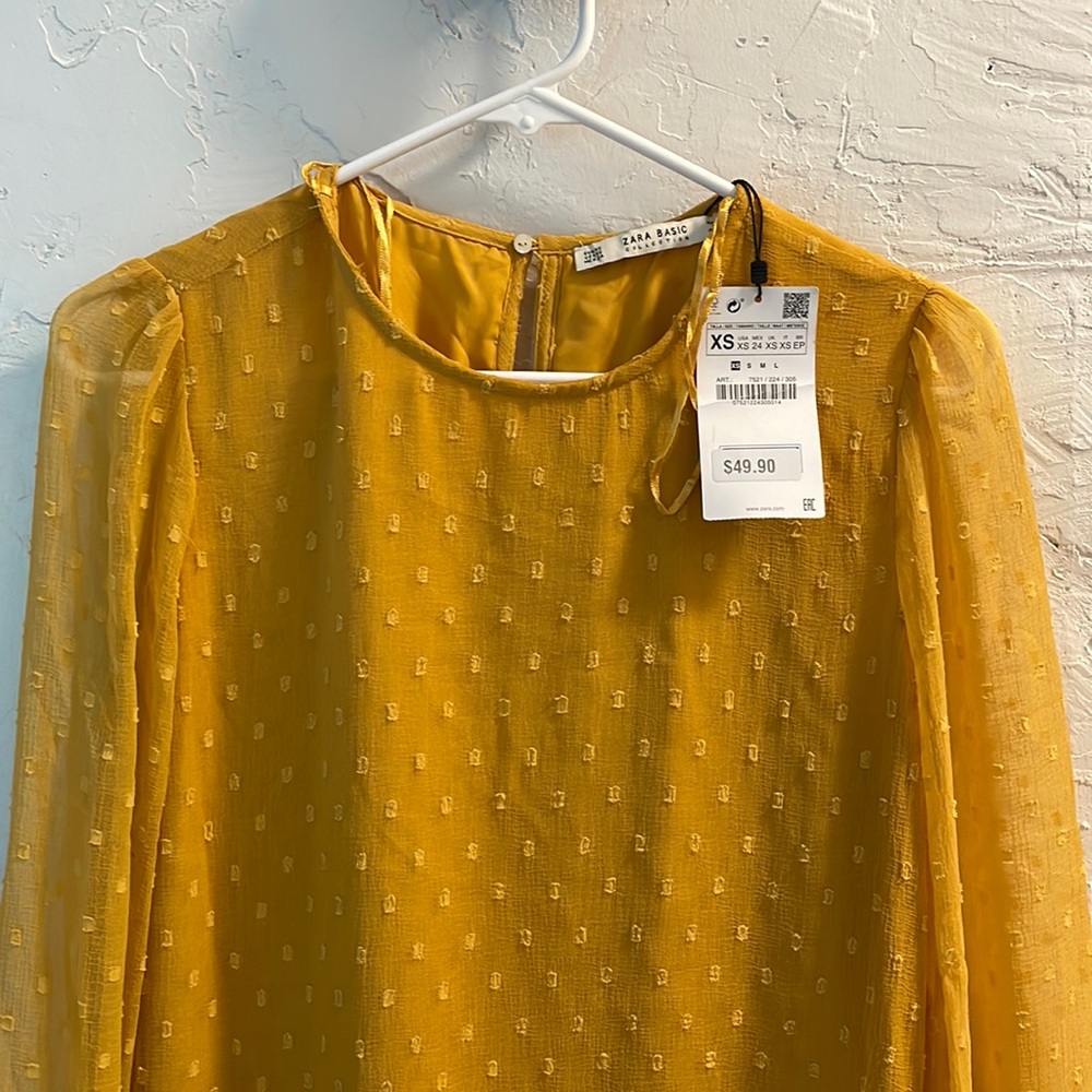 Zara dress
